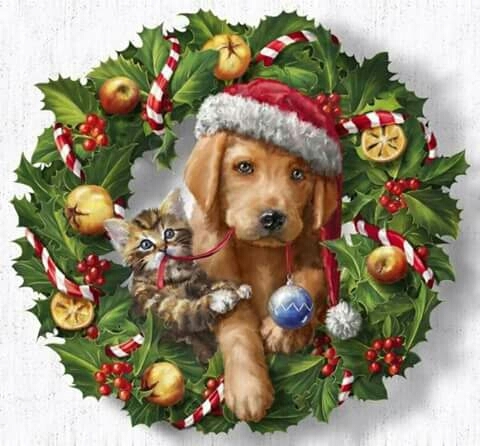 Коти і песики