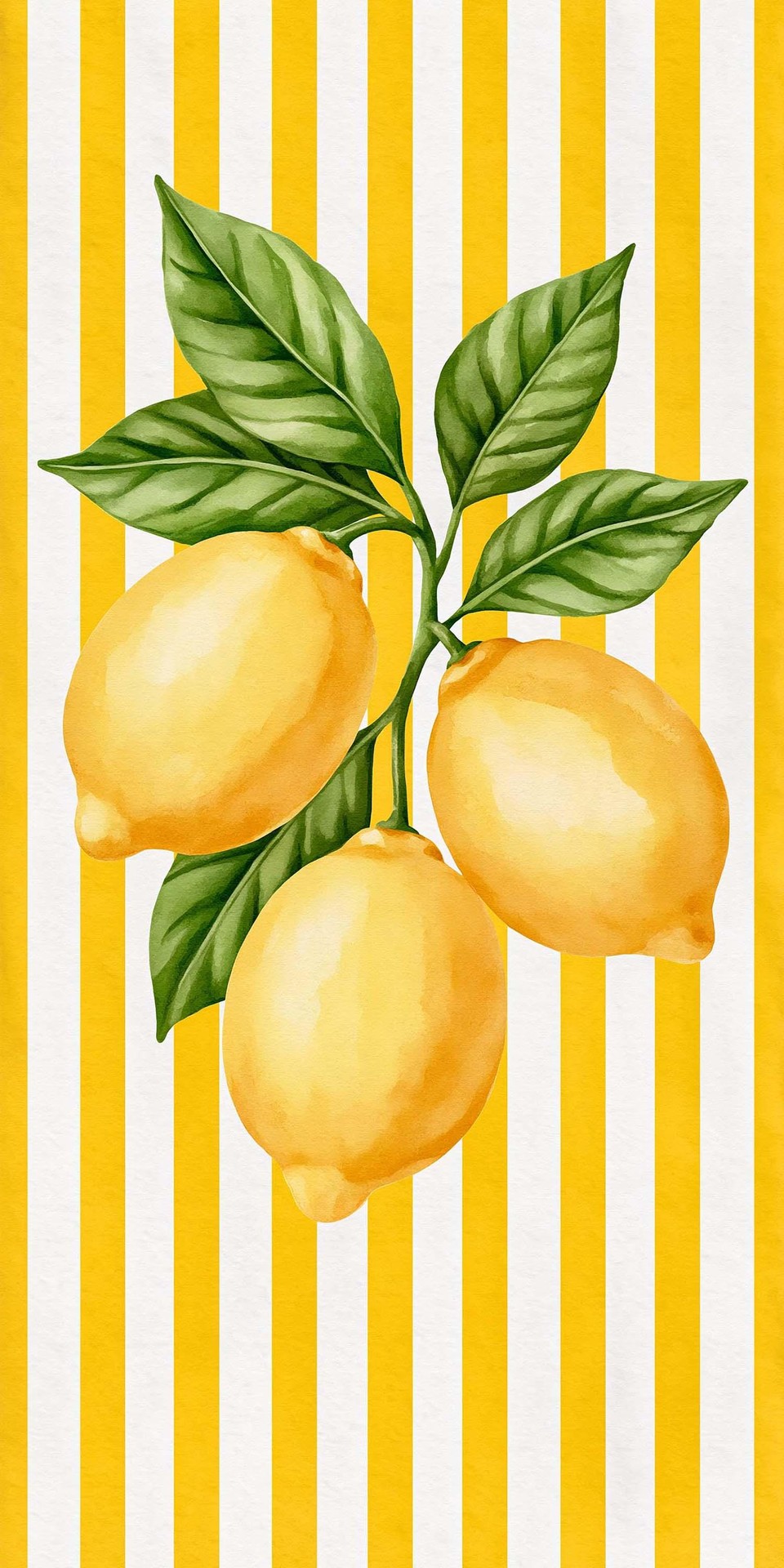 fonds d'écran Citrus, graphics