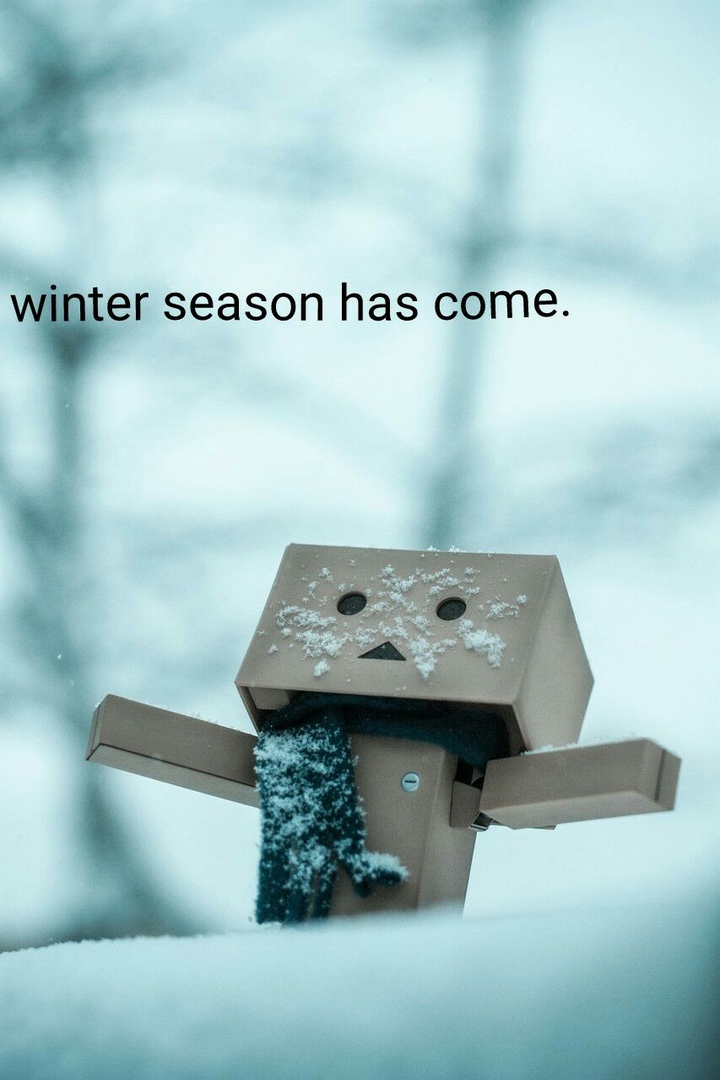 snowfall.