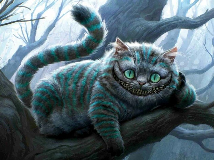 cat