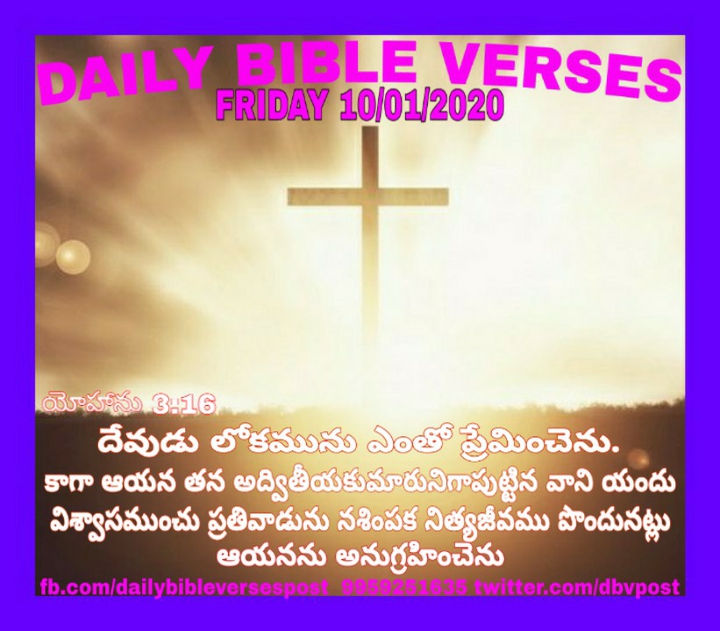 DAILY BIBLE VERSES