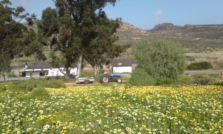 Farm live