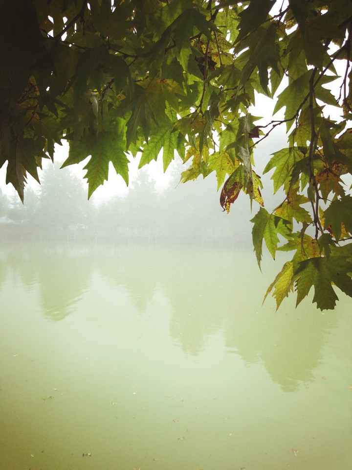 fall