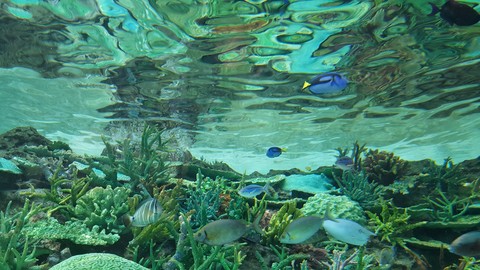 水族館