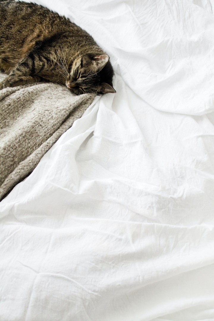 Cozy