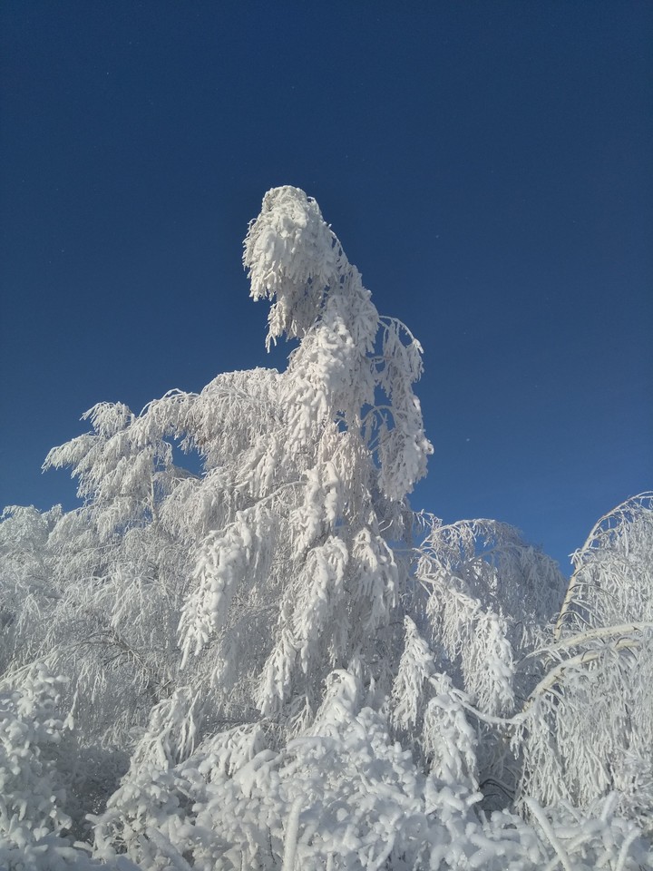 Зимние красоты 1
