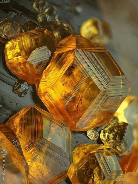янтарь.
