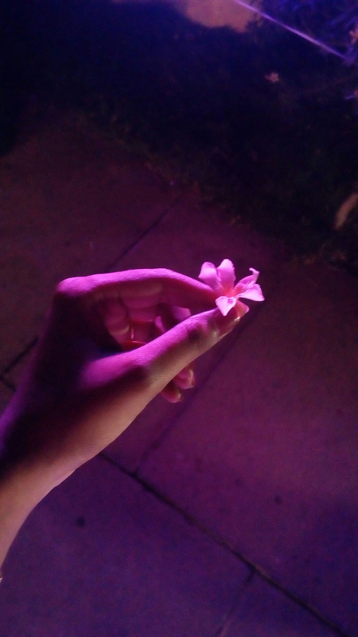 flower