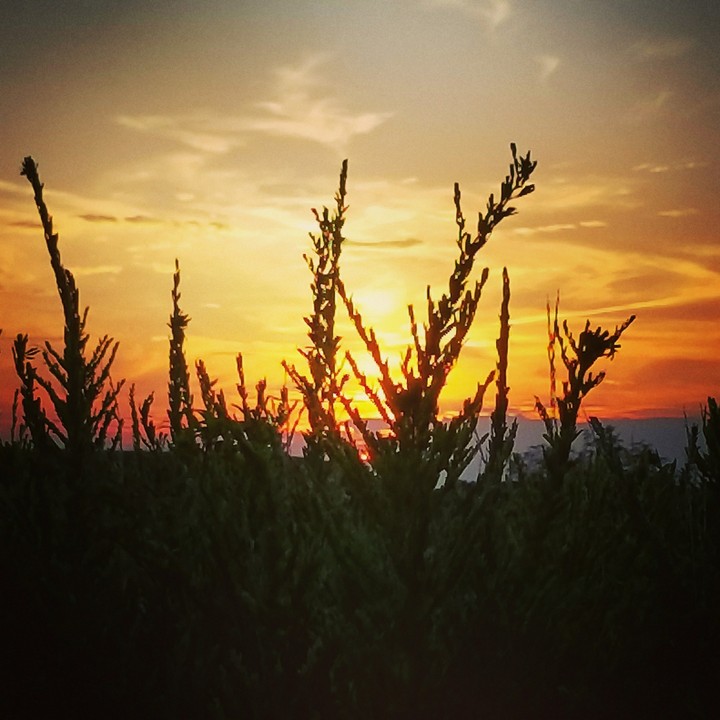 Virginia sunset