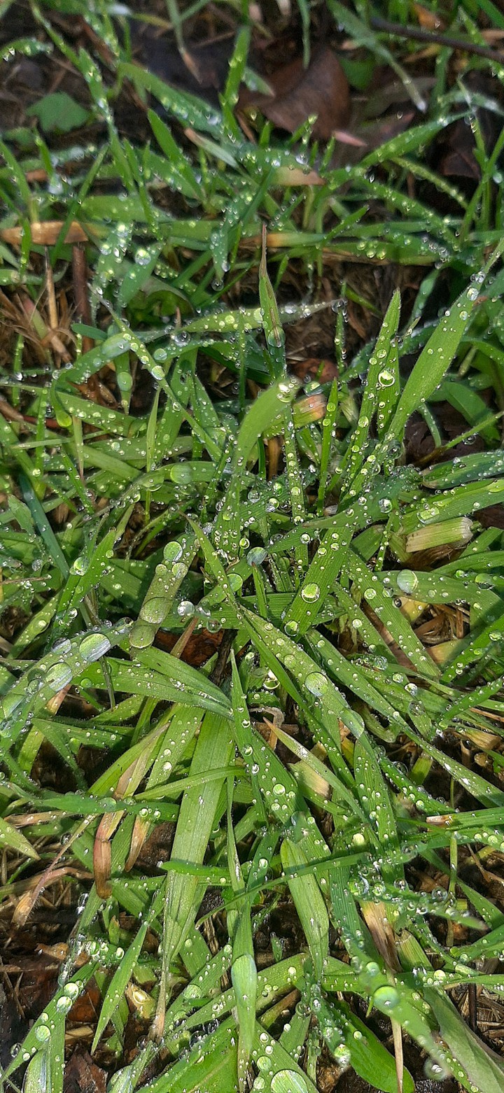 In winter, life still exists