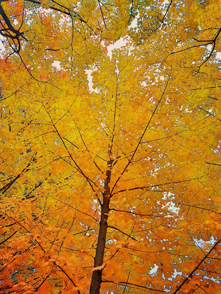 Autumn