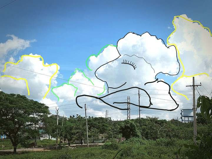 art from nature
