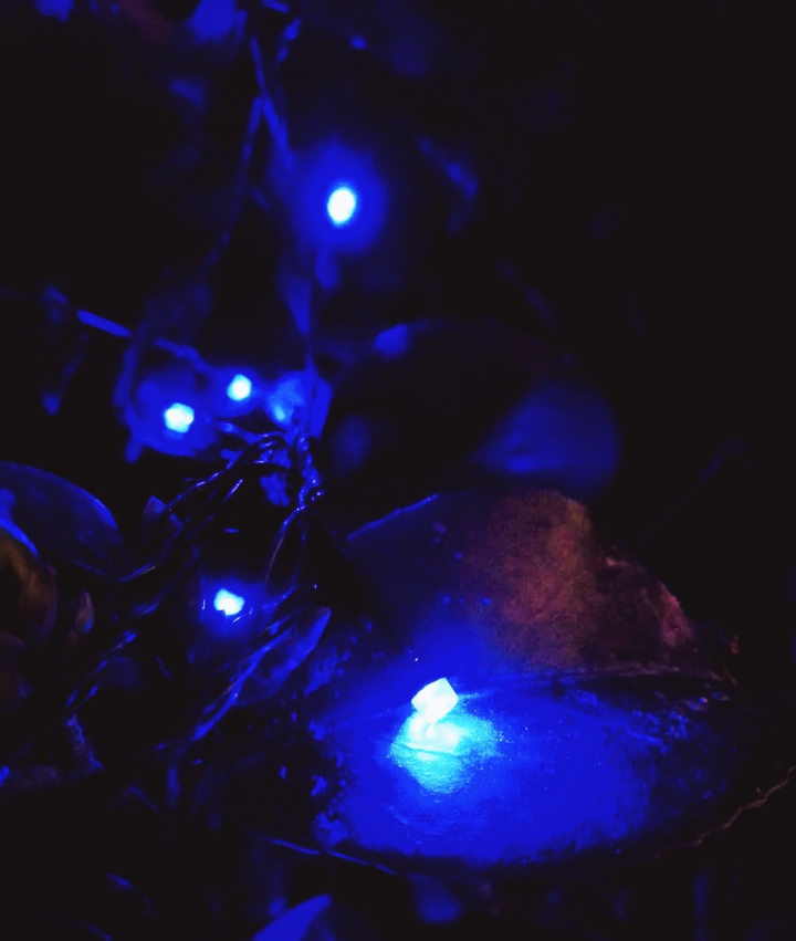 BLUE....||