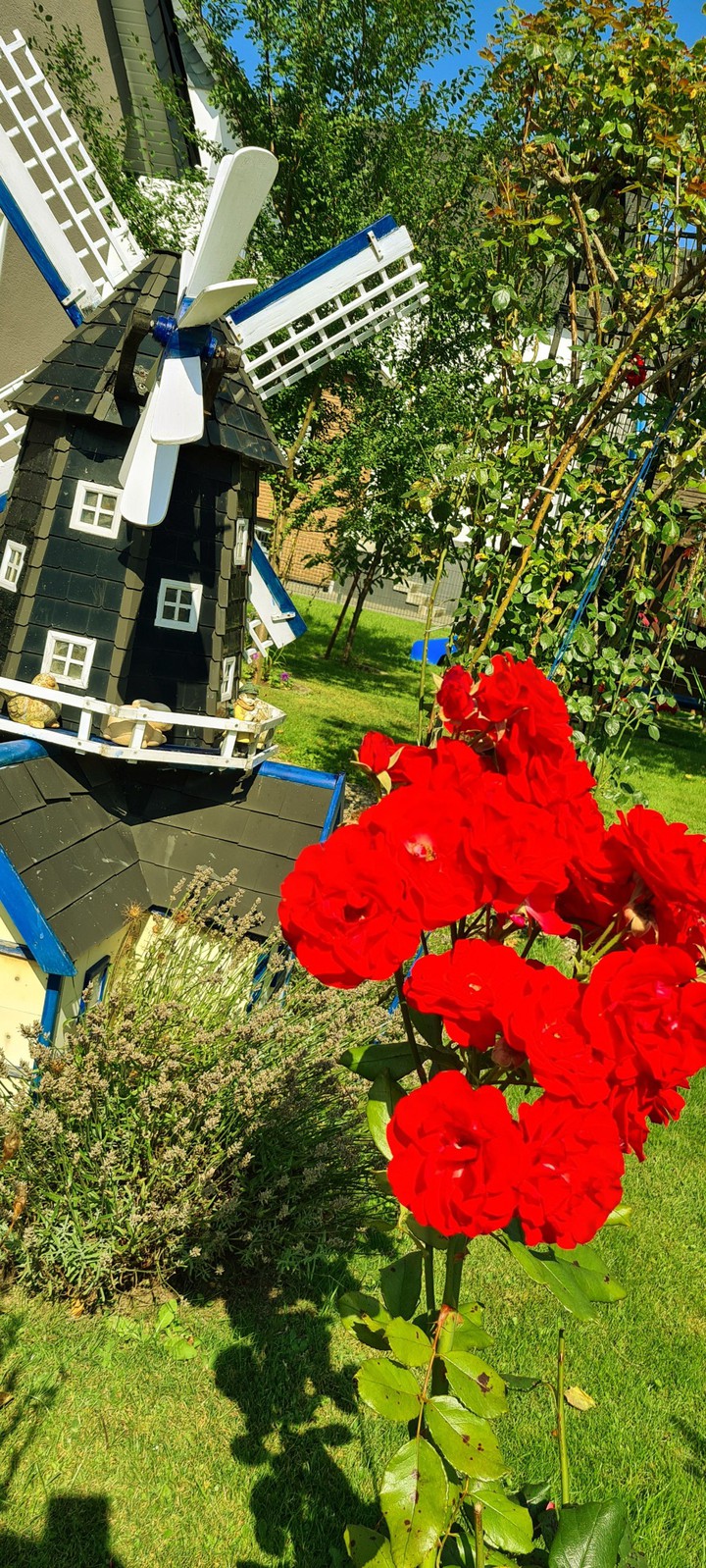 Mühle