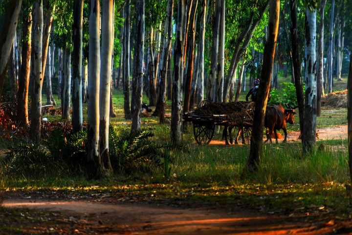 village