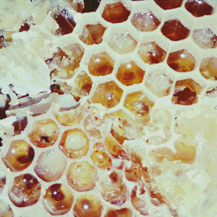 Honey