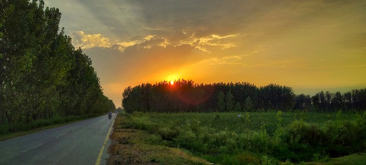 Sunset
