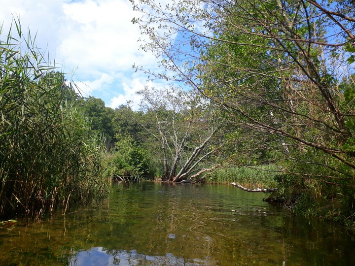 The Piaśnica River