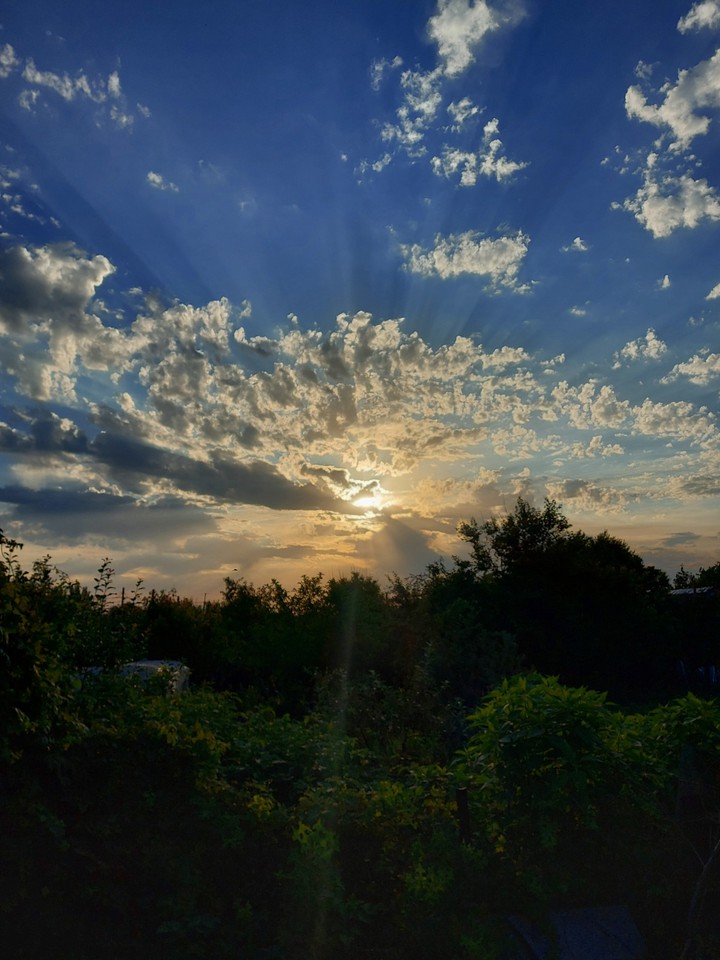 dawn