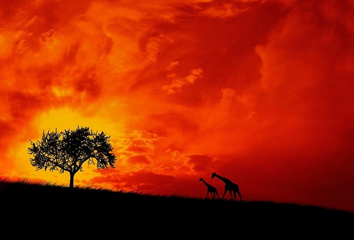 Orange sky