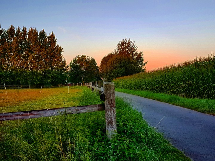 Natur ❤