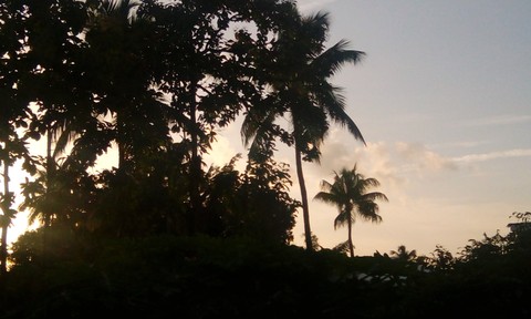 evening cliczzz