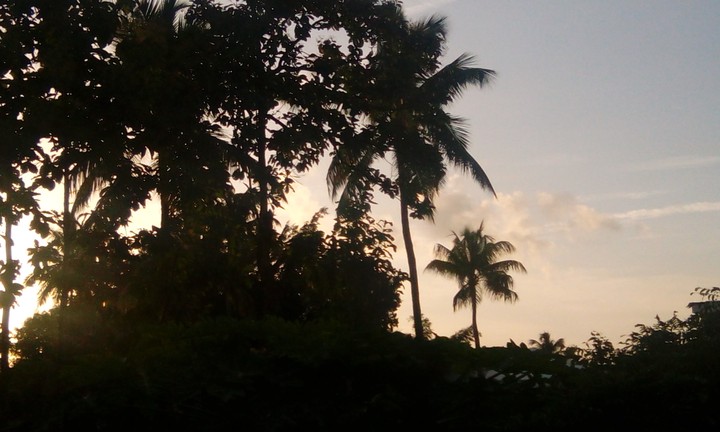 evening cliczzz
