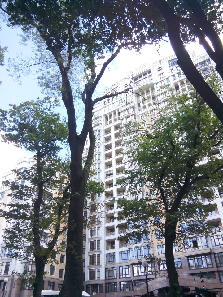 tree