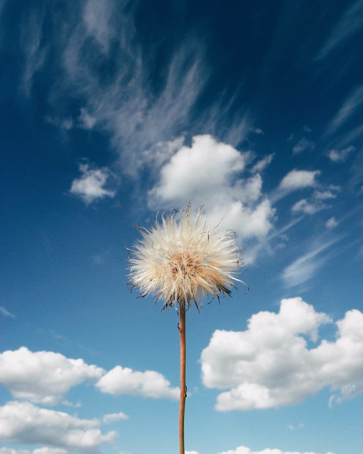 Among fresh clouds
