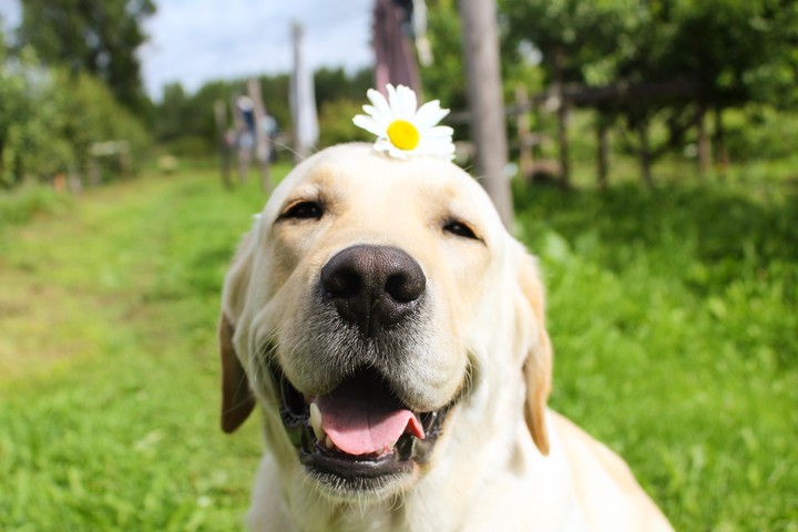 Marley