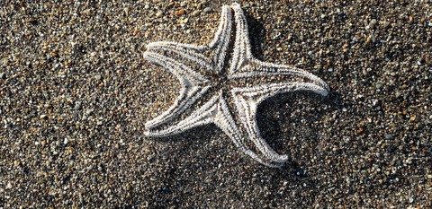 star