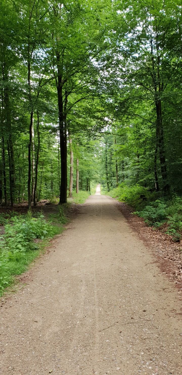 Weg