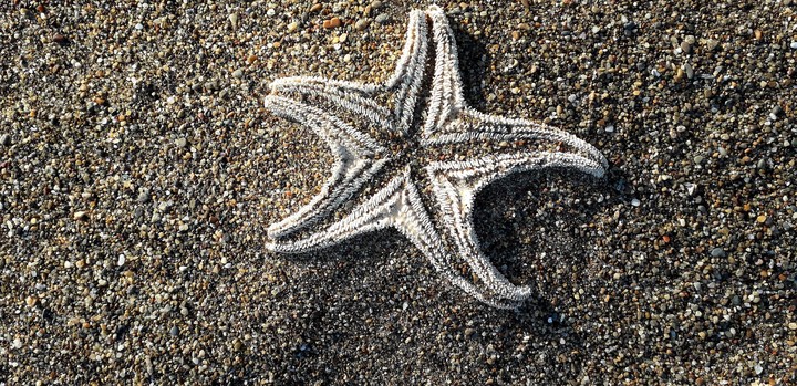 star