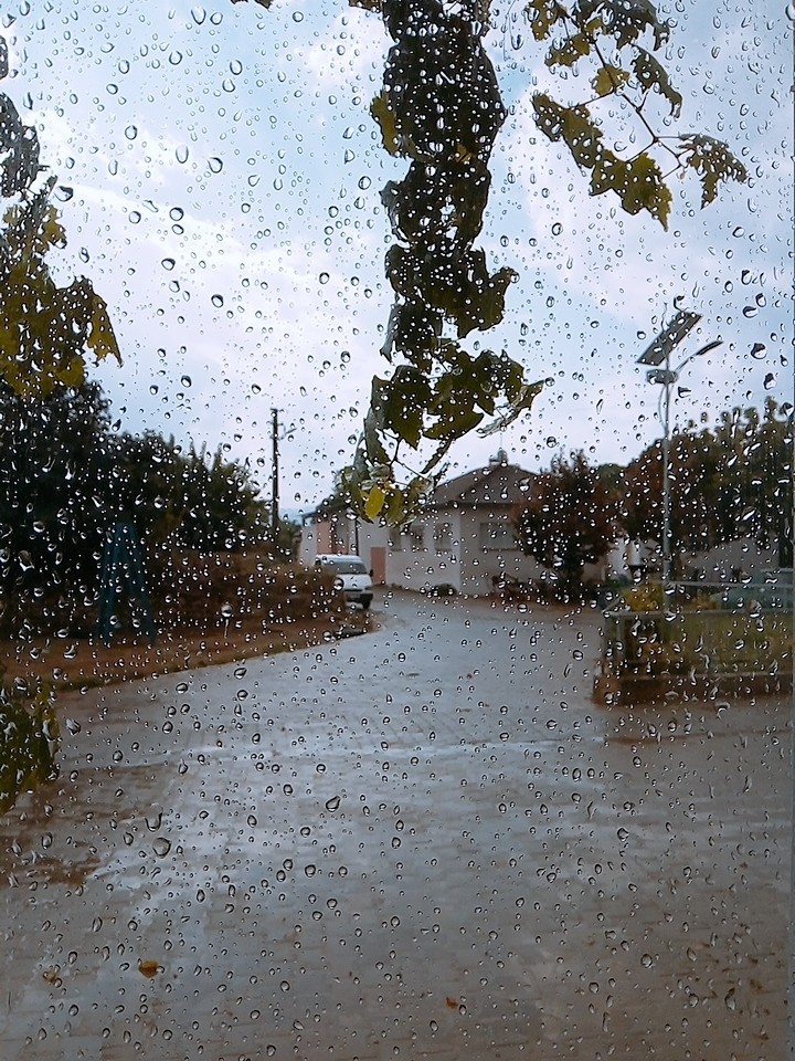 rain drops