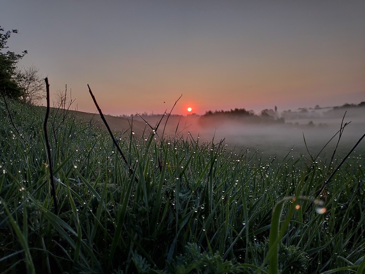 sunrise and grass 2 capture