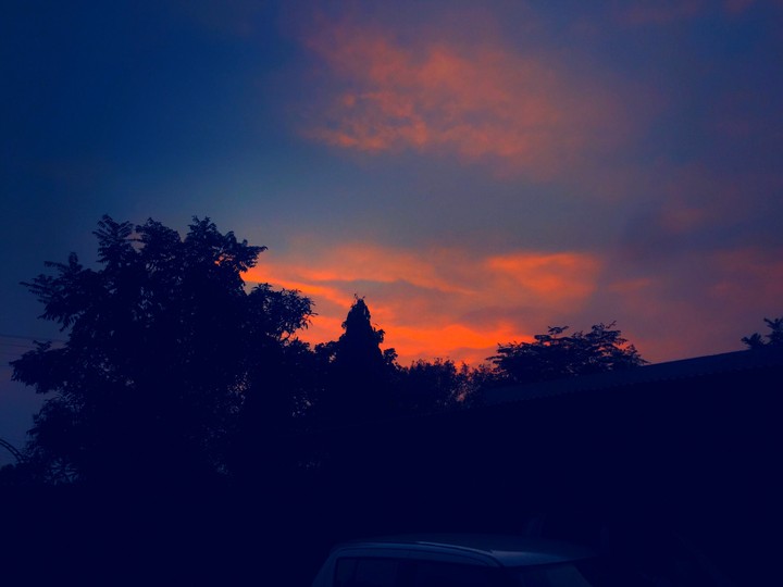 colors of nature