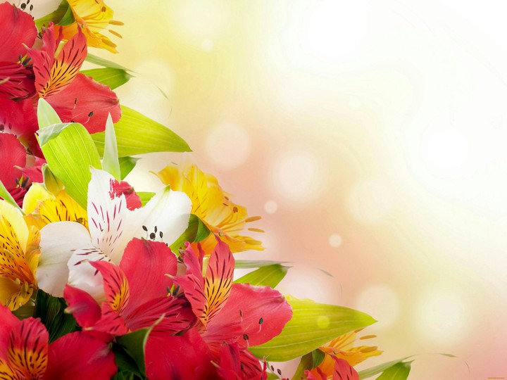 #Wishing All The Beautiful Women Happy Women's Day