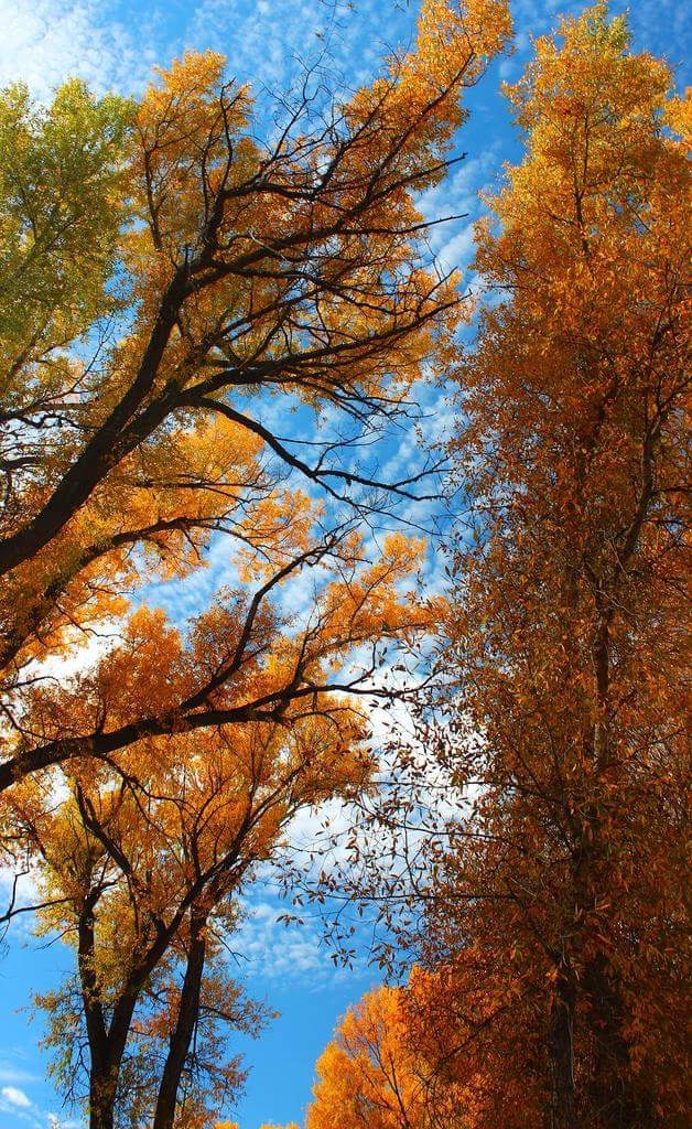 look up