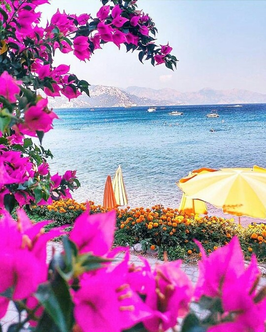 Muğla,  Turkey