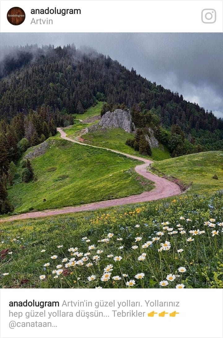 Artvin