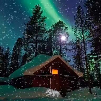 Nature ❄️❄️❄️