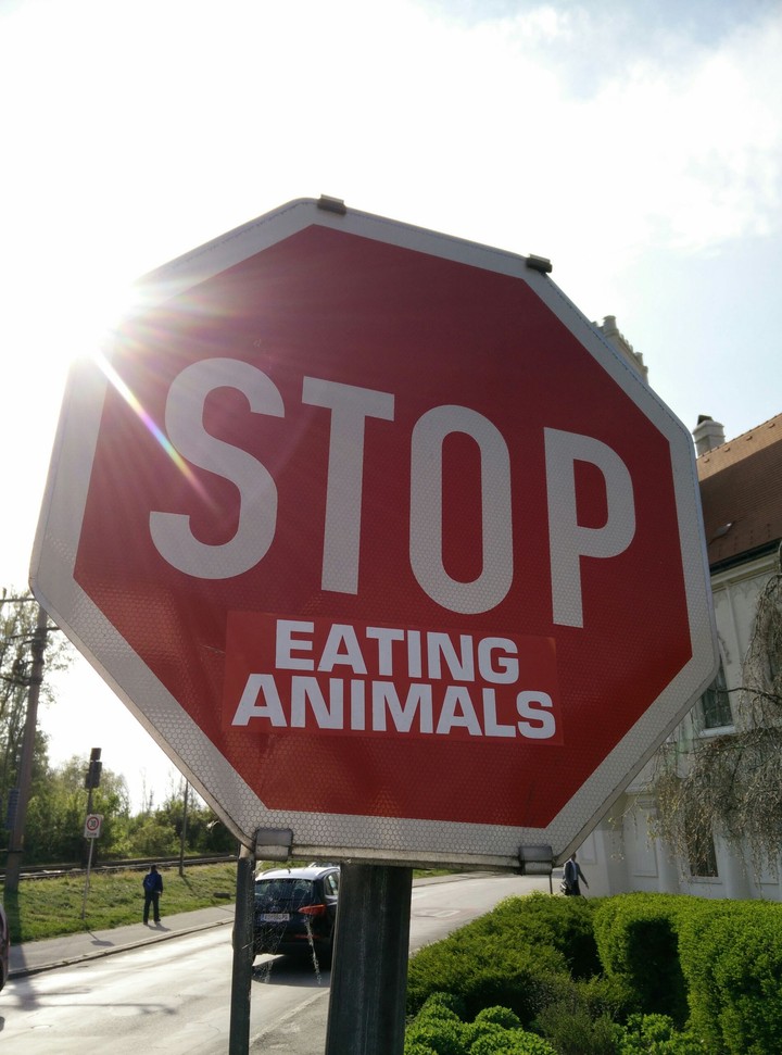 Stop eating animals