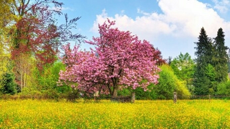 natural beautiful