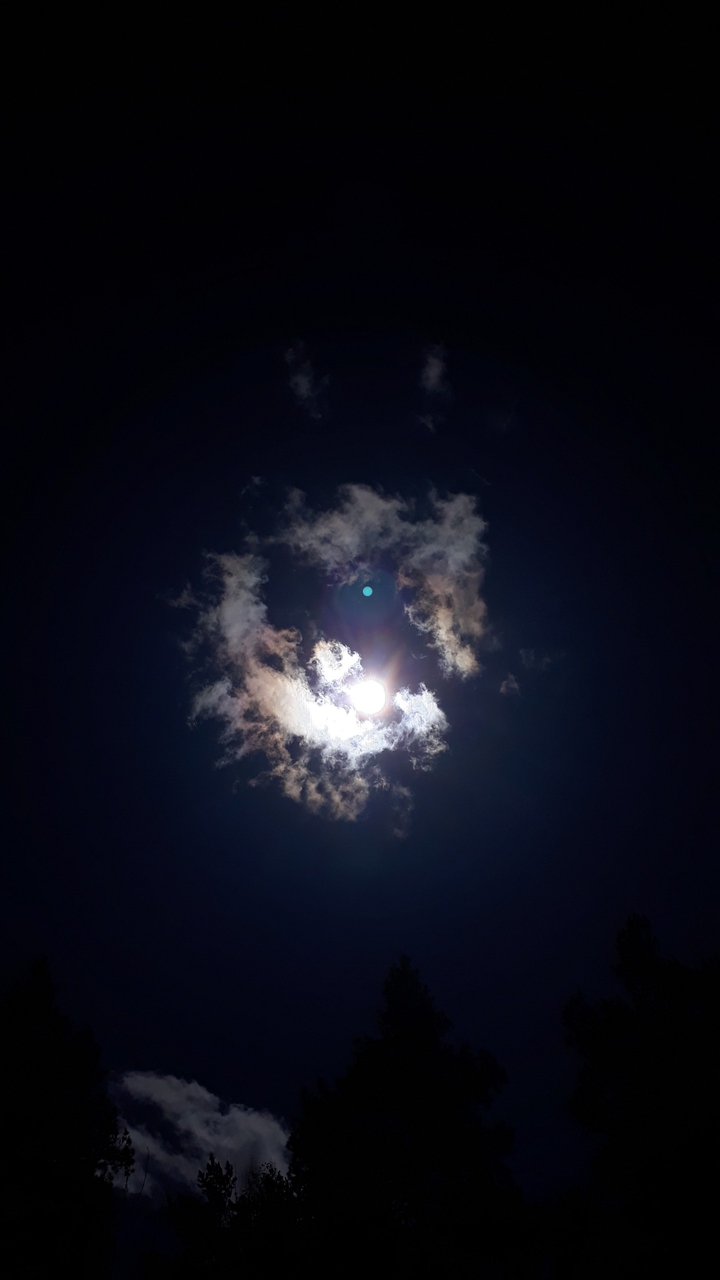 Black sun