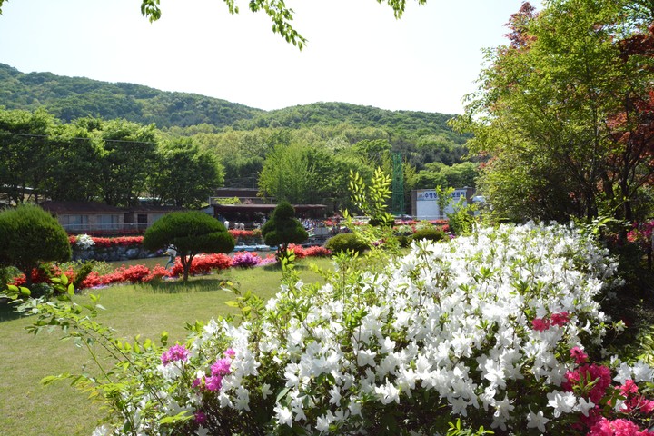 유일레저타운이미지