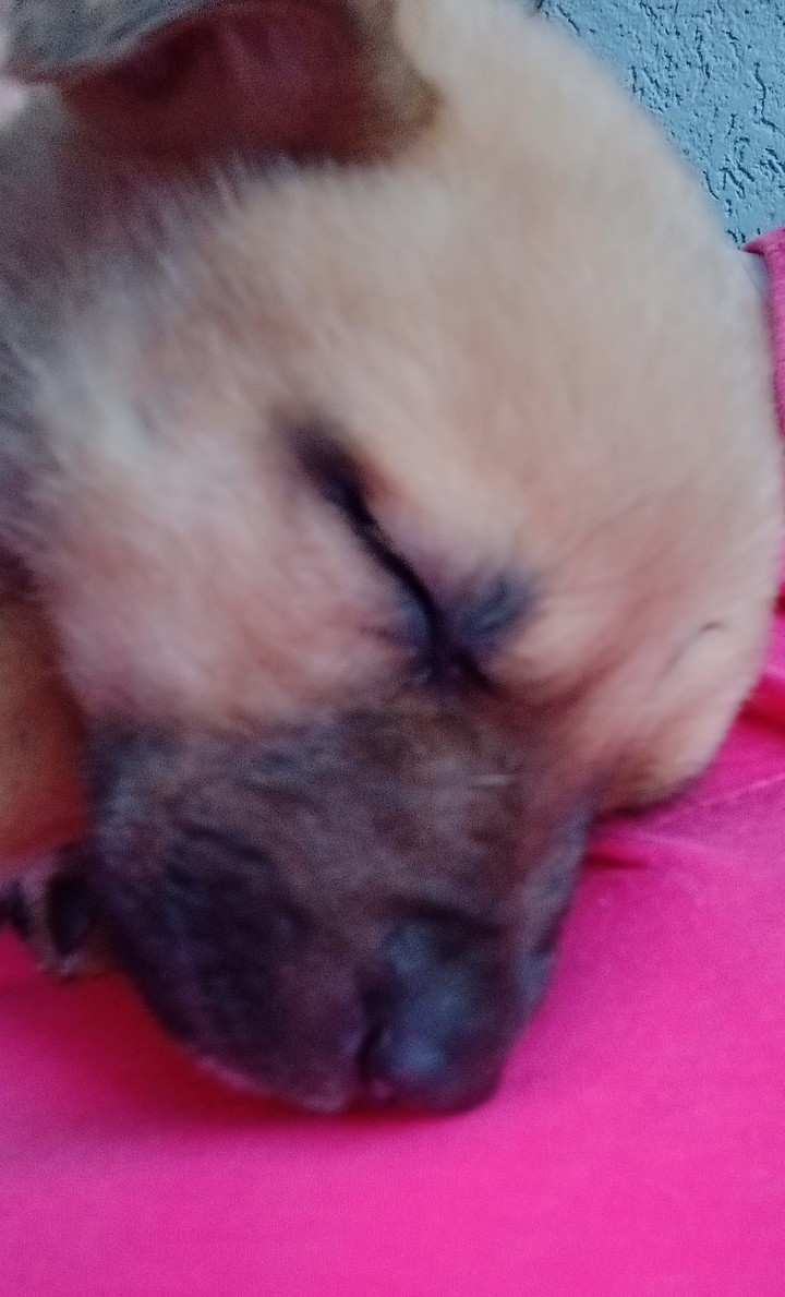 luna
