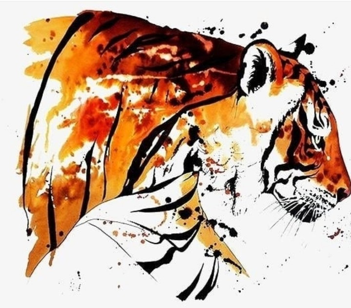 tiger art