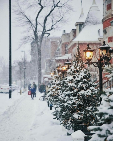 Snowfall