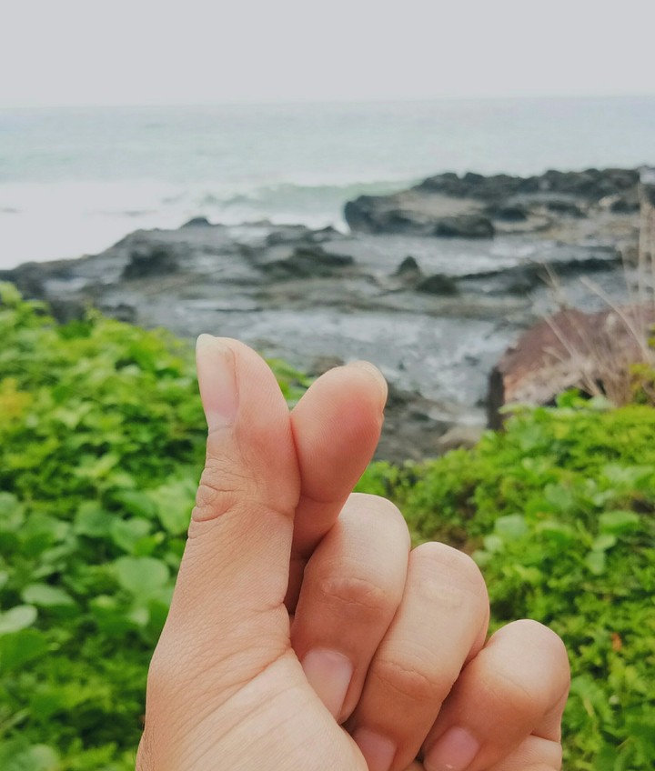 heart