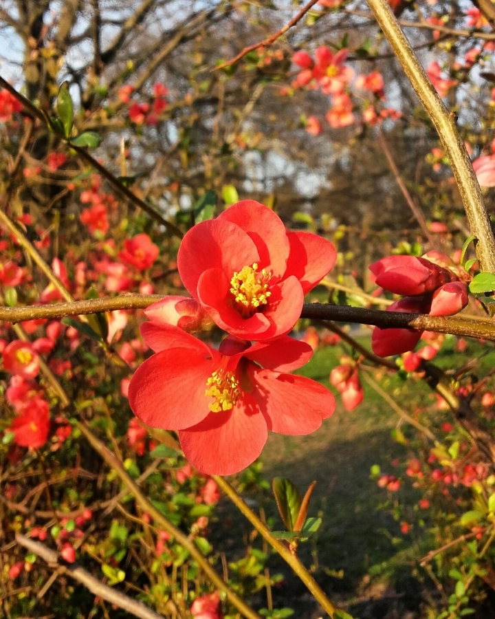 Spring 